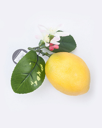 Лимон декоративный H13см 